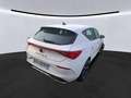 CUPRA Leon 1.5eTSI DSG 279,-ohne Anzahlung Navi Kamera Sitzh Weiß - thumbnail 5