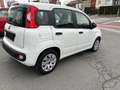 Fiat Panda 1200 Wit - thumbnail 3