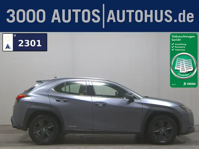 Lexus UX 250h Executive Line Leder Navi HuD Pano RFK