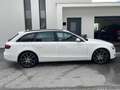 Audi A4 A4 Avant 2,0 TDI quattro DPF S-tronic Weiß - thumbnail 4