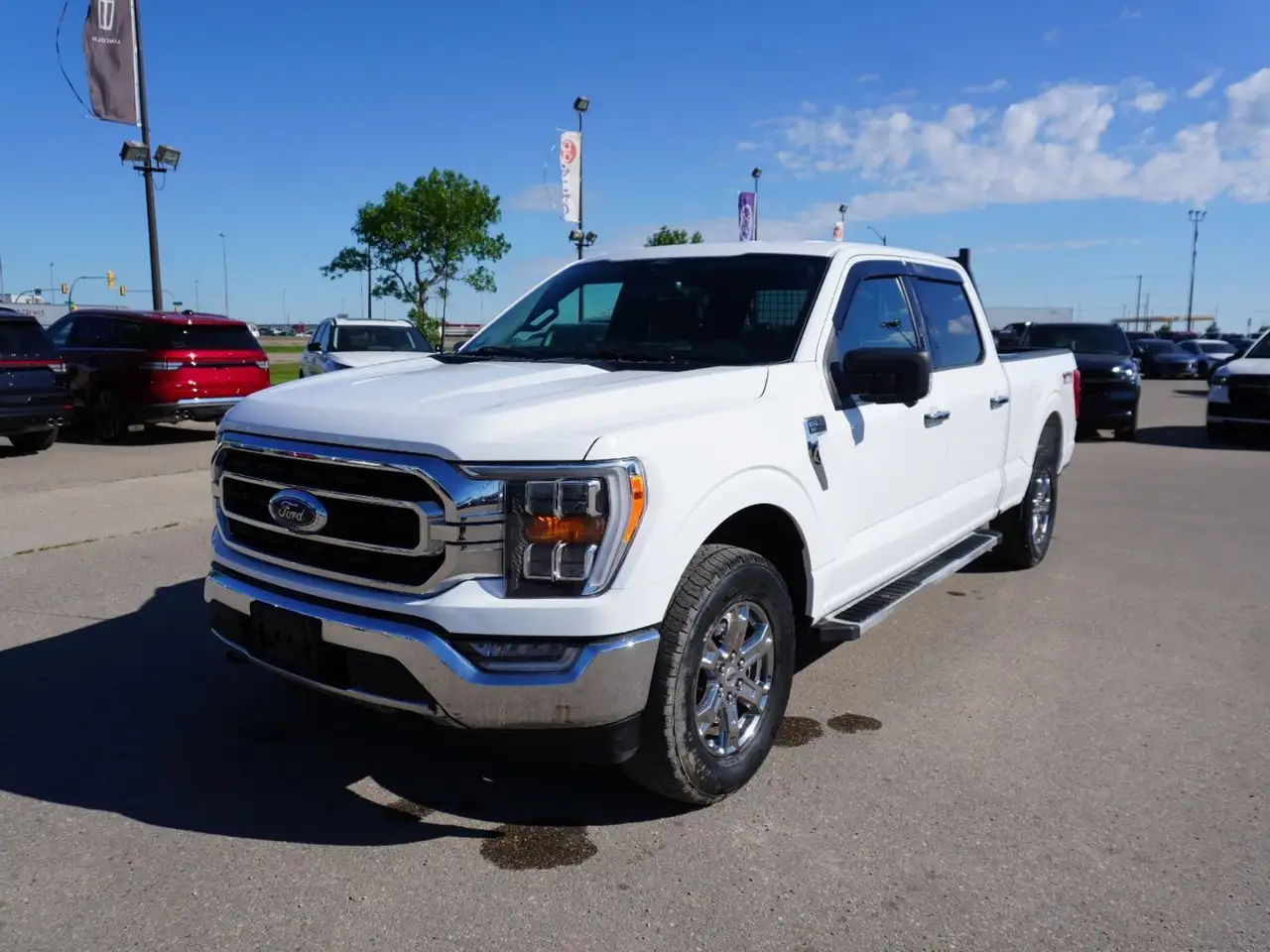 Ford F 150 fotografie Ford F 150