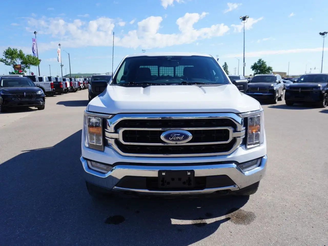 Ford F 150 fotografie Ford F 150