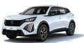 Peugeot e-2008 1.2 Style *GEWERBEAKTION*BESTELLER* Alb - thumbnail 8