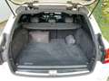 Mercedes-Benz C 350 C350-Klasse T-Modell e AMG-Line*Autom.*Navi*RFK* Weiß - thumbnail 14