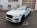Jaguar F-Pace Pure Weiß - thumbnail 6
