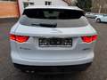 Jaguar F-Pace Pure Weiß - thumbnail 5