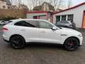 Jaguar F-Pace Pure Weiß - thumbnail 7