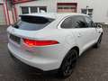 Jaguar F-Pace Pure Weiß - thumbnail 3