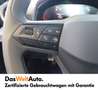 SEAT Arona Austria Edition 1.0 TSI Gris - thumbnail 11