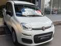 Fiat Panda Panda III 2016 1.0 hybrid Easy s Blanc - thumbnail 1