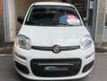 Fiat Panda Panda III 2016 1.0 hybrid Easy s Blanc - thumbnail 12