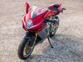 MV Agusta F3 Serie Oro Rouge - thumbnail 3