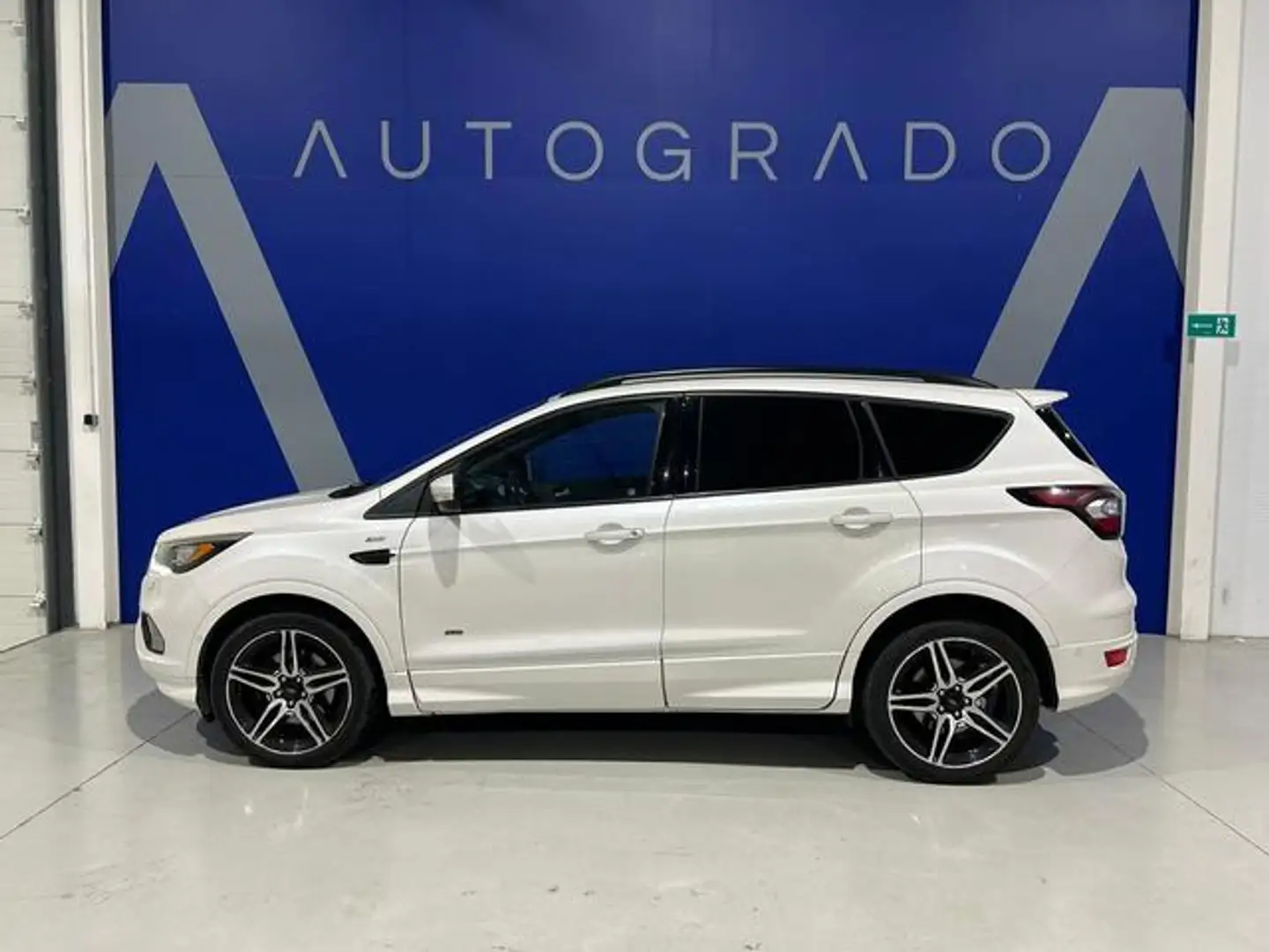 Ford Kuga 2.0TDCi Auto S&S ST-Line 4x4 PS 180 Blanc - 2