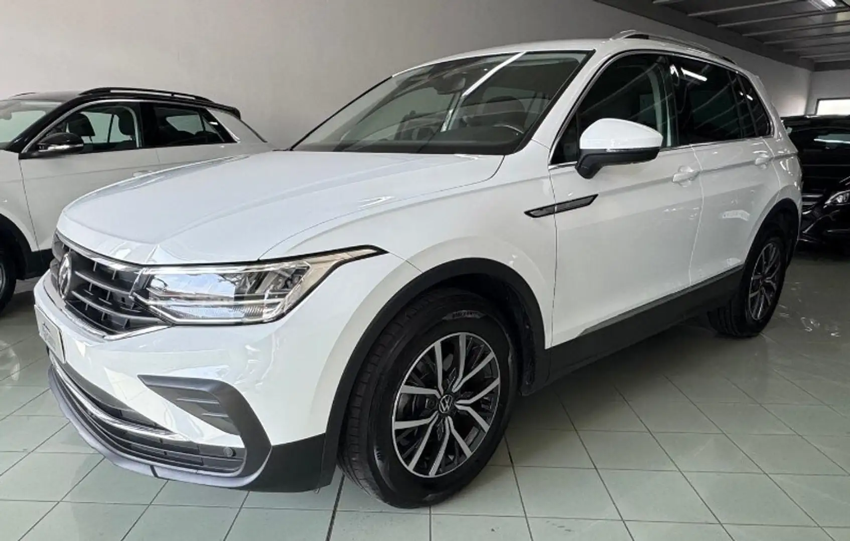 Volkswagen Tiguan Tiguan 2.0 TDI 150 CV SCR DSG Life Bianco - 2