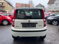 Fiat Panda 1.2 8V Classic*Klima*Servo*Tüv KD Neu* Weiß - thumbnail 6