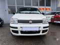 Fiat Panda 1.2 8V Classic*Klima*Servo*Tüv KD Neu* Weiß - thumbnail 2