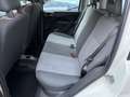 Fiat Panda 1.2 8V Classic*Klima*Servo*Tüv KD Neu* Weiß - thumbnail 10