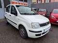 Fiat Panda 1.2 8V Classic*Klima*Servo*Tüv KD Neu* Weiß - thumbnail 3
