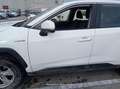 Toyota RAV 4 RAV4 2.5l 220H Business 4WD - thumbnail 19