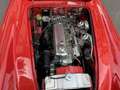 Austin 3000 BJ8 Red - thumbnail 15