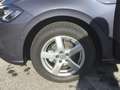Volkswagen Polo Friends TSI Grau - thumbnail 20