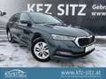 Skoda Octavia Combi 2,0 TDI Ambition DSG | ACC/RFK Grau - thumbnail 1