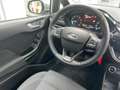 Ford Fiesta Titanium 5tg Autom. Navi Kamera 2xPDC SHZ Argento - thumbnail 24