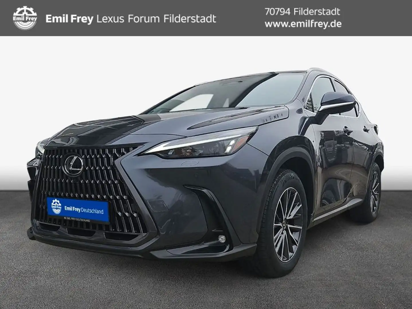 Lexus NX350h 4x2 Business Line Alle Extras/Modell2025 NX Grau - 1