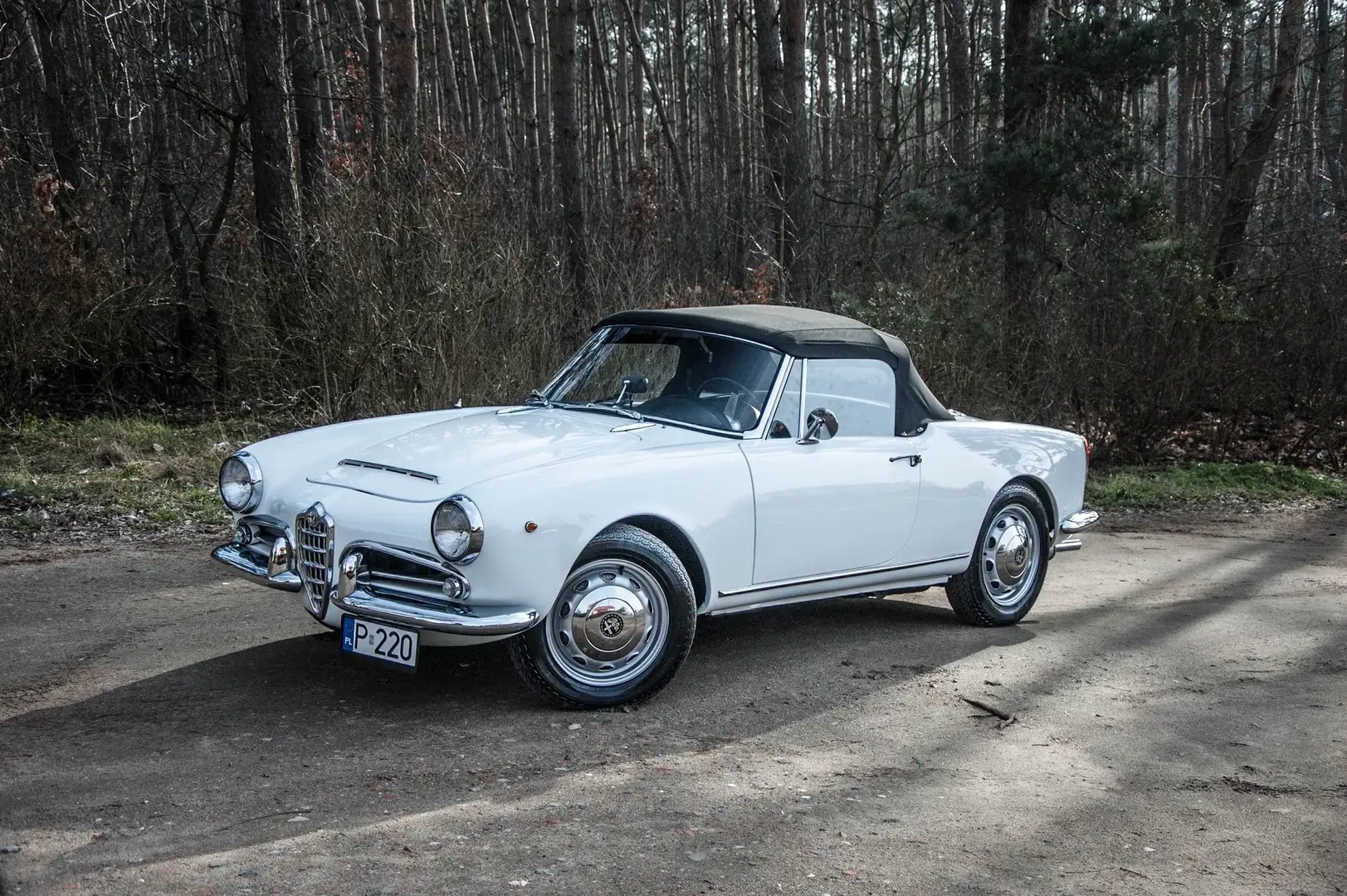 Alfa Romeo Giulia Spider - 1