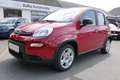 Fiat Panda 1.0 Hybrid *Komfort-Paket*PDC*Bluetooth*uvm! Rot - thumbnail 1