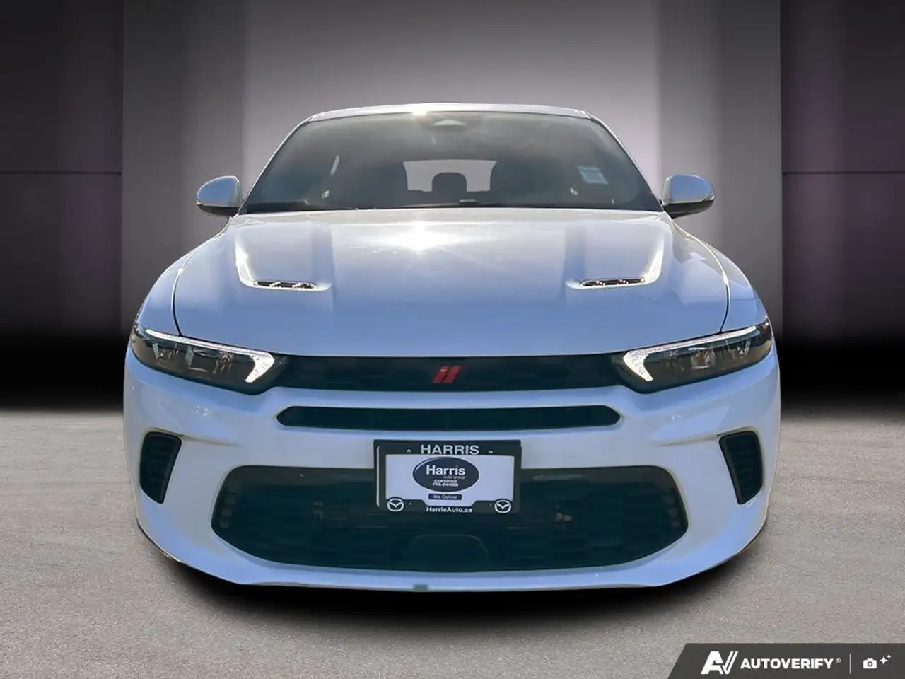 Dodge Hornet снимка Dodge Hornet