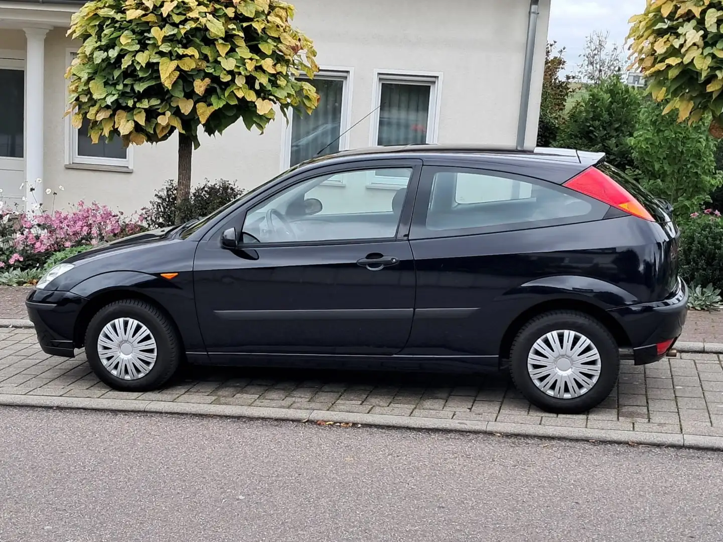 Ford Focus Focus Blau - 2