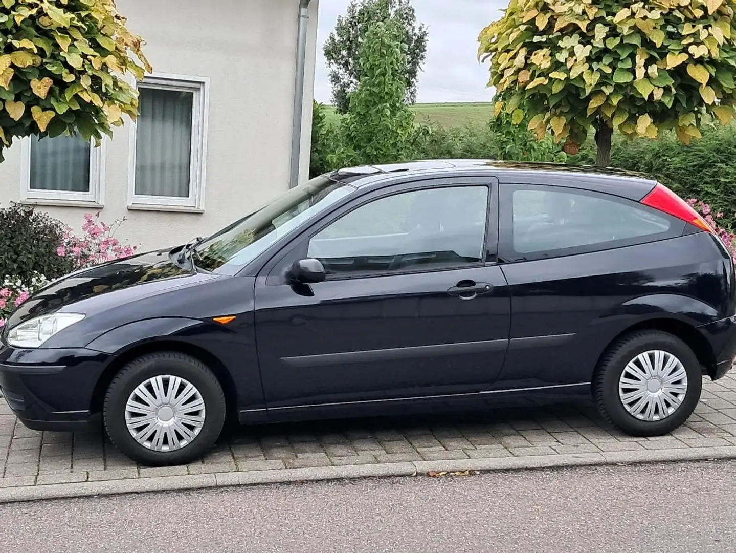 Ford Focus Focus Blau - 1