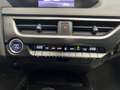 Lexus UX 250h Business 2WD Grijs - thumbnail 14