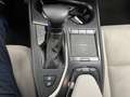 Lexus UX 250h Business 2WD Gris - thumbnail 15
