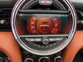 MINI Cooper Cabrio Cabrio Cooper Leder, Harman, Kamera, TOP Aussta... Schwarz - thumbnail 12