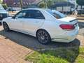 Mercedes-Benz E 250 Lim. E 250 CDI BlueEfficiency LED Navi Leder Blanc - thumbnail 5