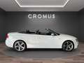 Audi A5 Cabrio 2.0 tfsi quattro 225cv s-tronic S-LINE - thumbnail 1