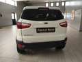 Ford EcoSport 1.5 TDCi 95 CV Titanium Bianco - thumbnail 4