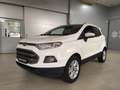 Ford EcoSport 1.5 TDCi 95 CV Titanium Bianco - thumbnail 1