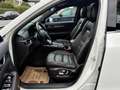Mazda CX-5 2.2 SKYACTIV-D 184 Revolution Top AWD Weiß - thumbnail 16