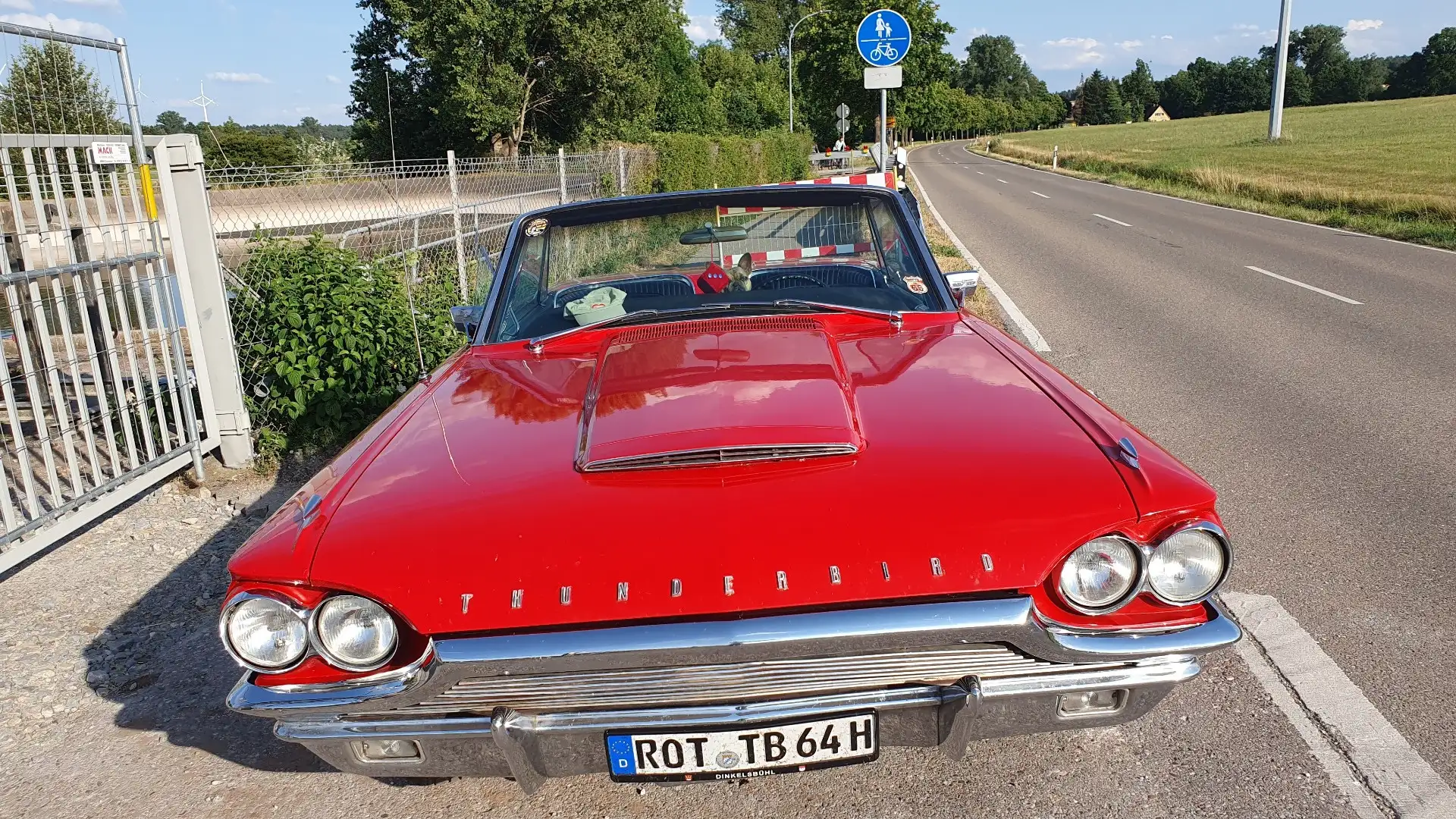 Ford Thunderbird - 1