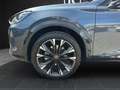 CUPRA Formentor 1.5 eTSI DSG ''PANO+DCC+MATRIX+AHK+UVM'' Grau - thumbnail 13