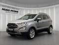 Ford EcoSport Titanium 1.0 EcoBoost | WI-PKT | GJR | KLIMA | ABS Argento - thumbnail 1