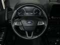 Ford EcoSport Titanium 1.0 EcoBoost | WI-PKT | GJR | KLIMA | ABS Silber - thumbnail 13