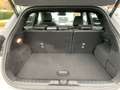 Ford Puma Hybrid ST-Line X 1.0 EcoBoost Mild AHK-abnehmbar E Grau - thumbnail 18