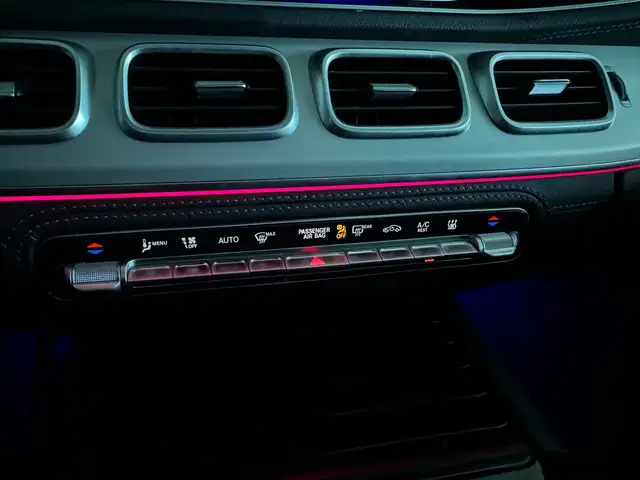 Mercedes-Benz Gle view 22
