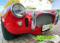 AC Cobra Cobra Rood - thumbnail 17