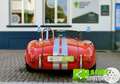 AC Cobra Cobra Rood - thumbnail 6