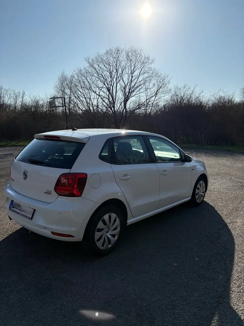 Volkswagen Polo 1.6 CR TDi White Edition DPF DSG Blanc - 2